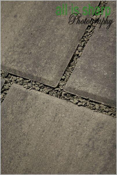 Landscape 054